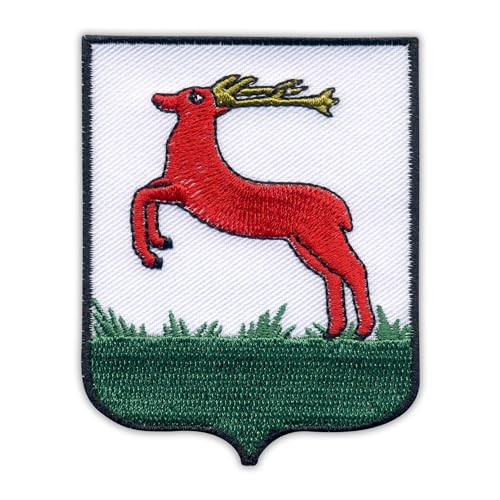 Patchion Wappen der Stadt Pila – schwarzer Klettverschluss kompatibel mit Klettverschluss – bestickter Aufnäher/Abzeichen/Emblem von Patchion