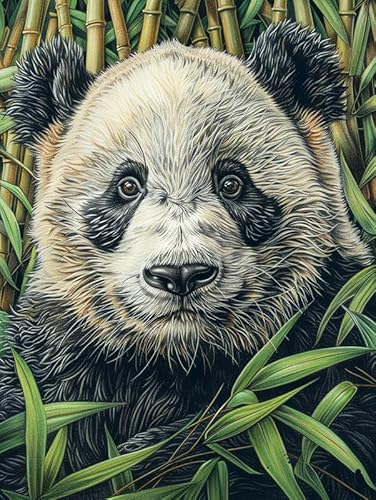 Pavemlo Diamond Painting Kits Panda, DIY 5D Diamant Stickerei Malerei Kits Tier, Full Drill Kristall Set Strass Stickerei Bilder DIY Diamant Malerei für House Wall Dekoration 30x40cm von Pavemlo