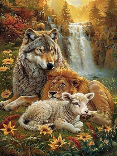 Pavemlo Diamond Painting Kits Wolf Löwe, DIY 5D Diamant Stickerei Malerei Kits Tierschaf, Full Drill Kristall Set Strass Stickerei Bilder DIY Diamant Malerei für House Wall Dekoration 30x40cm von Pavemlo