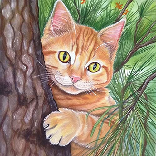 Pavemlo Diamond Painting Set Zubehör Katze Baum, DIY 5D Diamant Stickerei Malerei Kits Tiere, Full Drill Kristall Set Strass Stickerei Bilder DIY Diamant Malerei für House Wall Dekoration 30x30cm von Pavemlo