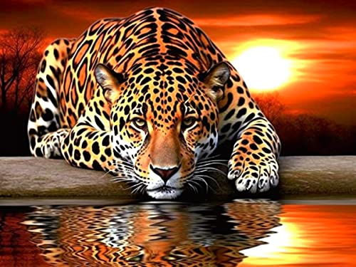 Pavemlo Diamond Painting Set Zubehör Leopard Und Tiger, DIY 5D Diamant Stickerei Malerei Kits Tier Sonnenuntergang, Full Drill Kristall Set Strass Stickerei Malerei für House Wall Dekoration 30X40 cm von Pavemlo