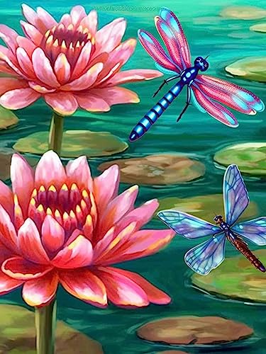 Pavemlo Diamond Painting Set Zubehör Lotus, DIY 5D Diamant Stickerei Malerei Kits Libelle, Full Drill Kristall Set Strass Stickerei Bilder DIY Diamant Malerei für House Wall Dekoration 30X40 cm von Pavemlo