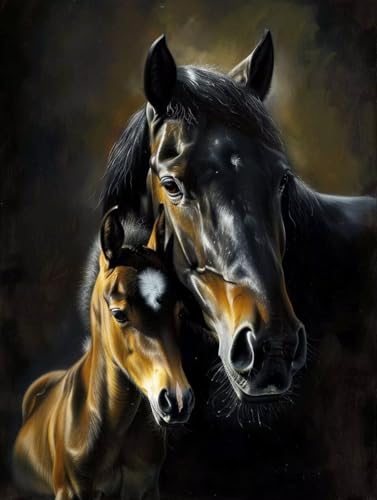 Diamond Painting Tiere Diamond Painting Erwachsene klein 30x40cm Diamant Painting Bilder Set, 5D Diamond Painting Horse, DIY Cross Stickerei Diamond-Painting Basteln für Wandzimmer Deko Geschenk 0-w von Peepezo