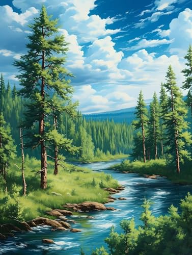 Landschaft Diamond Painting Erwachsene, Wolke Diamond Painting Kinder Anfänger 5D Diamant Kunst Stickerei Kreuzstich Bilder Bastelset, Deko Wohnzimmer, Geburtstagsgeschenk für Frauen 30x40cm -18g0r von Peepezo