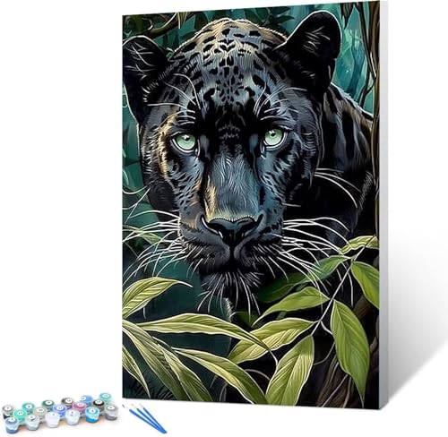 Malen Nach Zahlen Erwachsene Schwarzer Panther, DIY Ölgemälde Leinwand Set mit Pinsels und Farbe, Verdeckt als Geburtstag Weihnachten Geschenk für Frauen Home Deko 30x40cm (mit Rahmen) von Peepezo