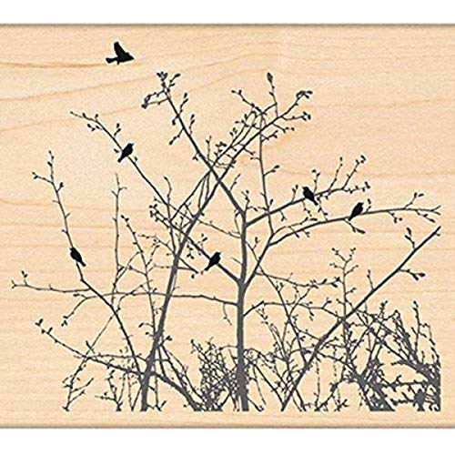 Penny Black Rubber Stamp 4"X4.5"-Winter Ledge von Penny Black