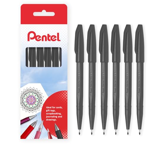 Pentel S520 Original Sign Pen Fasermaler, Fineliner, 2 mm Spitze, 1 mm Linie, 6 Stück in Geschenkbox (schwarz) von Pentel