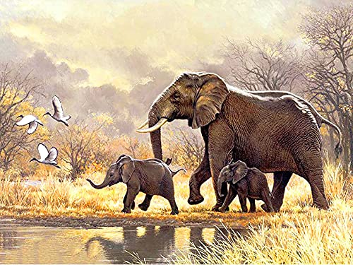 Pentoa Diamond Painting Tier Set Zubehör, Diamant Painting Bilder Elefant, Full DIY Crystal Strass Stickerei Home Wand Decor Gemälde Kreuzstich Diamond Wall Dekoration 30×40cm von Pentoa