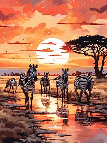 Pentoa Diamond Painting Zebra Set Zubehör, Diamant Painting Bilder Tiere, Full DIY Crystal Strass Stickerei Home Wand Decor Gemälde Kreuzstich Diamond Wall Dekoration 30x40cm von Pentoa