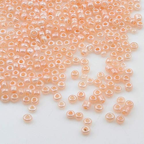 450g Rocailles Perlen 3mm Ceylon Farbe Set Glasperlen Rund 15000Stk 8/0 Indianerperlen Perlenhäkeln Perlentiere Seed Beads (Lachs) von Perlin