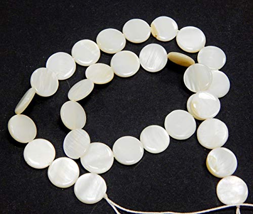 Perlin - Perlmutt Muscheln Perlen Weiß 12mm 1 strang Münze Scheibeform Natur Pearl Beads Perle zum fädeln muschelkernperlen U82 von Perlin