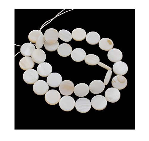 Perlmutt Muscheln Perlen Weiß 12mm Scheibeform Pearl Beads Perle zum fädeln für DIY Schmuck Herstellung U89 von Perlin