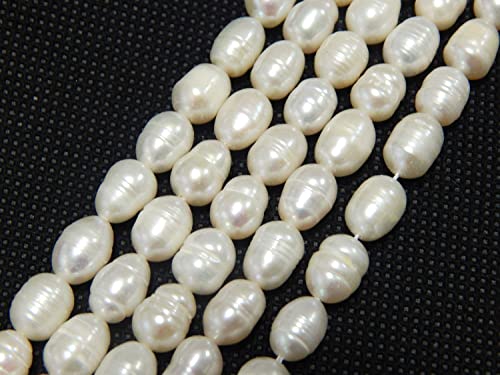 Süßwasserperlen Zuchtperlen 8~10mm Weiß Krem Reiskorn Natur Barock Edelstein Perlen Muschelperlen Schmuckstein Perle Zum Fädeln, Freshwater Pearl Beads Gemstone von Perlin