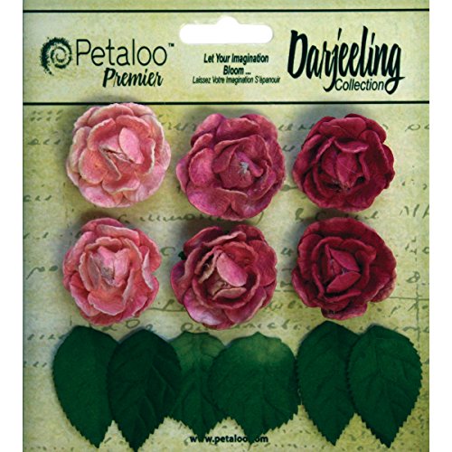 Petaloo Darjeeling Mini Garden Rosetten 1 Pink, Acryl, Mehrfarbig, 3-teilig von Petaloo