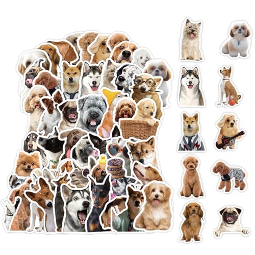 50 Stück Meme Sticker Set, Wasserfeste Hunde-Aufkleber, Vinyl-Aufkleber für Autos, Funny Tier Aufkleber für Laptop, Snowboards, Gepäck, MacBook, iPad und mehr (Hund) von Peysaitr