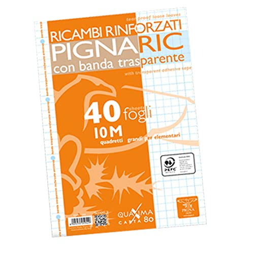 Pigna, 40er-Pack 4-Loch, Ablage, verstärkte Seitenstreifen, Blätter mit verstärkten Löchern, A4-Blätter, 21x29,7, 10, Quadrat 1 cm. von Pigna