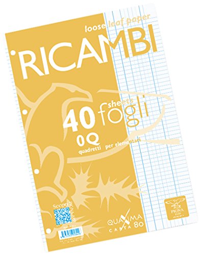 Pigna, Packung mit 40 Blättern mit 4 Löchern, A4, 21x29,7, Blätter mit Löchern ohne Verstärkung, 0Q, quadratisch 5 mm mit Rand von Pigna