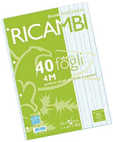 Pigna, Packung mit 40 Blättern mit 4 Löchern für die Ablage, Format A4, 21x29,7, Blätter mit Löchern ohne Verstärkung, 4M, Quadrate 4 mm. von Pigna