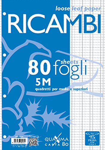 Pigna, Packung mit 80 Blättern mit 4 Löchern für die Ablage, A4, 21x29,7, Blätter mit Löchern ohne Verstärkung, 5M, quadratisch 5 mm. von Pigna