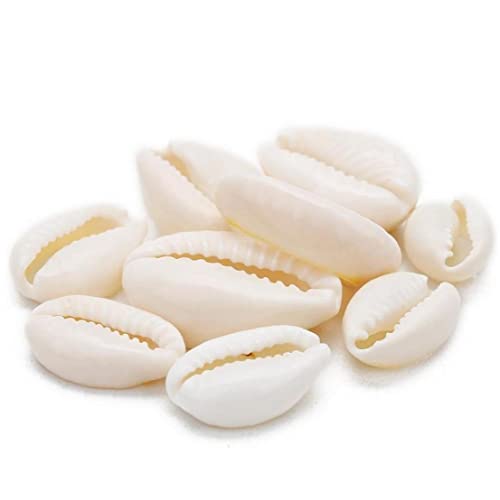 50 Stücke Weiß Meer Shell Perlen Für Schmuck Cowrie Cowry Charme Perlen Diy Halskette Armband Zubehör Schmuck von PiniceCore