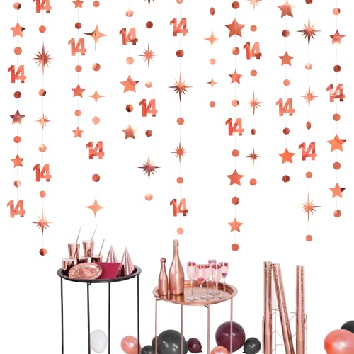 Rose Gold 14th Birthday Decorations 14 Kreis Dot Twinkle Star Girlande Metallic Hanging Streamer Hintergrund für Mädchen 14 Jahre alt Geburtstag vierzehn Offizielle Teenager Party Supplies von PinkBlume