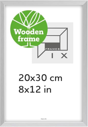 Pix FRAMES Bilderrahmen Holz - Holzrahmen mit Scheiben aus acrylglas - Picture Frame - Holzbilderrahmen - Holz Bilderrahmen - Fotorahmen 20x30 cm - Silber von Pix FRAMES