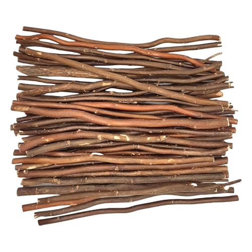 Pocoiau 50 Teile/Satz Holzscheite Sticks Für Handwerk Natürliche Sticks Holz Handwerk Stick Für Foto Home Dekore Schule Projekte Handwerk von Pocoiau