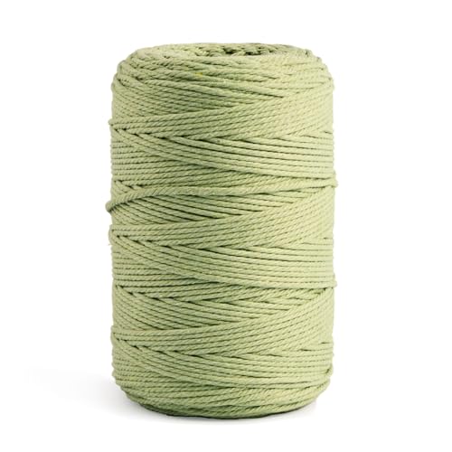 Posan Makramee Garn 3mm x 300m, Natur Baumwollgarn ohne Chemie, Macrame Cord für DIY Handwerk Basteln Wandbehang Blumenampel Pflanze Aufhänger Stricken (Hellgrün) von Posan