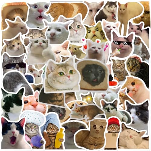 Lustige Katzen Sticker, 100 Stück Süße Katze Aufkleber Aesthetic, Wasserfeste Vinyl Cute Stickers Aesthetic für Katzenliebhaber Koffer Skateboard Laptop Helm Auto Kühlschrank Katzenform Sticker von Powmag