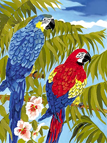 Malen nach Zahlen - Junior "Papageien", DIY Bild ca. 33 x 24 cm groß, inkl. 7 Acryl-Farben, Pinsel und bedrucktem Malkarton, ideal für Anfänger und Kinder ab 8 Jahre von Pracht Creatives Hobby