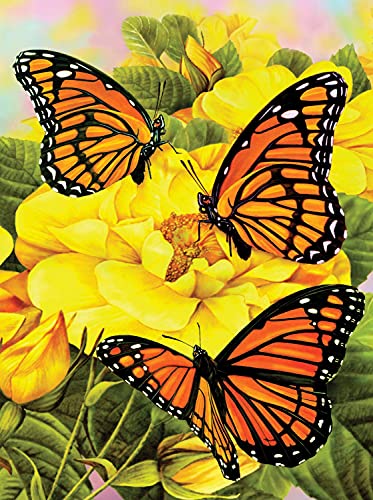Malen nach Zahlen - Junior "Schmetterlinge", DIY Bild ca. 33 x 24 cm groß, inkl. 7 Acryl-Farben, Pinsel und bedrucktem Malkarton, ideal für Anfänger und Kinder ab 8 Jahre von Pracht Creatives Hobby
