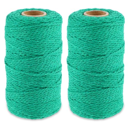 Prasacco 2 Rollen Makramee Garn, 2 mm x 100 m Baumwollgarn Kordel Grünes Baumwollkordel Natürliches Geflochtenes Baumwollseil für DIY Handwerk, Geschenkverpackungen, Gartenzubehör, Heimdekoration von Prasacco