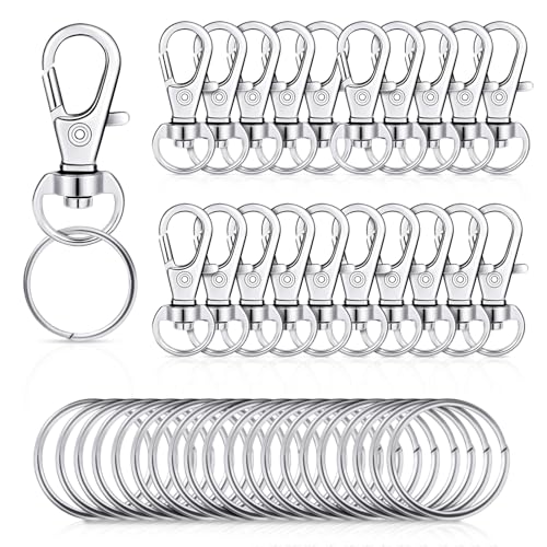 Prasacco 20 Stück Schlüsselanhänger Ring, Schlüsselringe mit Karabiner Schlüsselanhänger Basteln Schlüsselanhänger Ring Schlüsselringe Key Chain Clip für DIY Making Schmuckherstellung Keyrings Ring von Prasacco