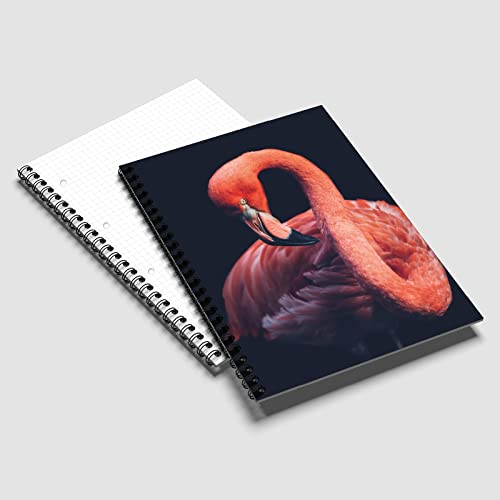 Primus Print Spiral-Notizblock Schreibblock Design-Block Collegeblock - A4 - kariert - 80 Blatt / 160 Seiten - Schule - Büro - Kinder (1, Flamingo) von Primus-Print.de