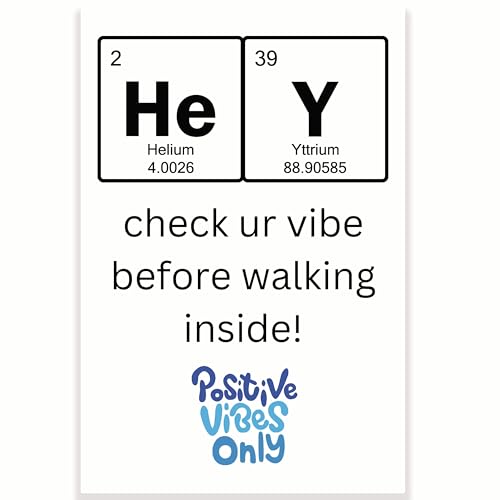 Hey Check Ur Vibe Before Walking Inside Klassenzimmer-Poster – Lustiges Punny Gen Z Humor-Poster – 30,5 x 45,7 cm – Klassenzimmer-Dekor – Klassenzimmer-Dekor – CPS0461 von Printlabz