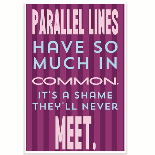 Poster "Parallel Lines Have So Much In Common Shame They'll Never Meet Classroom", lustiges Poster, Mathematikunterricht, 30,5 x 45,7 cm, Klassenzimmer-Dekor, Klassenzimmer-Dekoration, CPS0424 von Printlabz