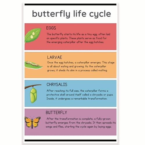 Printlabz CPS0321 Poster für den Lebenszyklus des Schmetterlings-Lebenszyklus, Wissenschaftsklasse, 30,5 x 45,7 cm, Klassenzimmer-Dekoration, Muss für Klassenzimmer, Dekoration für den Schulanfang von Printlabz
