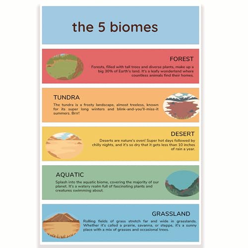 Printlabz The 5 Biomes Klassenzimmer-Poster – verschiedene Arten von Biomen – Wissenschafts-Biologie-Klasse – 30,5 x 45,7 cm – Klassenzimmer-Dekor – Klassenzimmer Must Haves – Dekoration für den von Printlabz