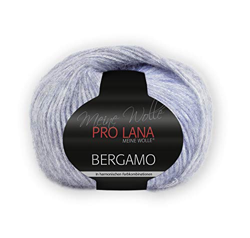 Neu 2018!!! 50g Pro Lana Bergamo - Farbe 81 - Garn mit Sehr harmonischem Farbverlauf und Leicht Glitzernd für luxoriöses Auftreten von Prolana