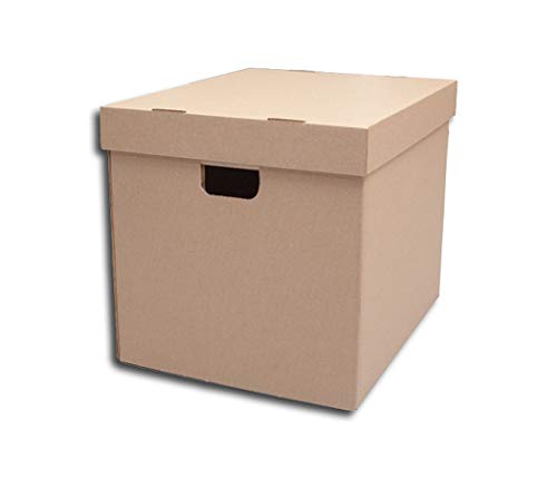 LP Schallplatten Pappbox Protected von Protected