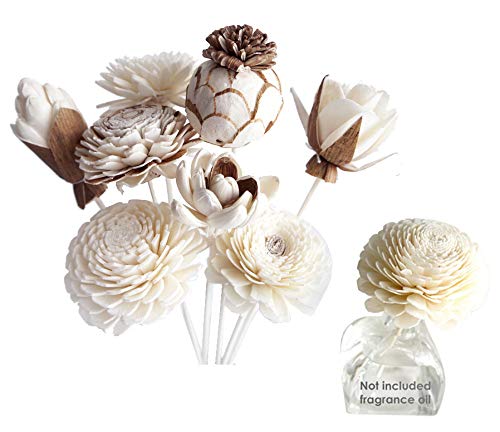 Proudnature Sola-Holzblumen, Duftöl-Diffusor, exotischer Look, gemischt, 7 Stück von Proudnature Scent