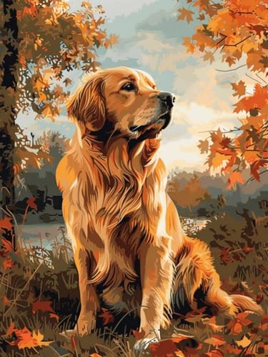 Pskgbxmu Vorgedruckt Kreuzstich Set Tier Golden Retriever 11CT AnfäNger Kreuzstich Stickpackungen Stickbild Set für für Wandkunst-Heimdekoration 40x50 cm von Pskgbxmu