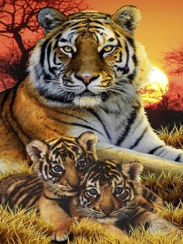 Pskgbxmu Vorgedruckt Kreuzstich Set Tier Tiger DIY Stickvorlagen 11CT Stickbilder Zum Sticken Starter Set FüR Erwachsene Kinder AnfäNger 40x50 cm von Pskgbxmu