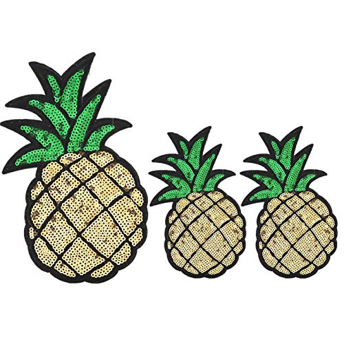 Pssopp 3 Stück bestickte Stoff Patches Ananas Kaktus gestickte Reparatur Patches Aufbügeln Aufnähen Stoffpaste DIY Applique für Kinder Kleidung Taschen Dekor von Pssopp