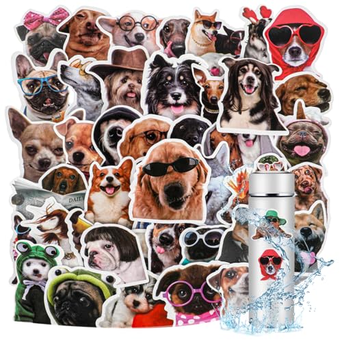 100 Stück Lustige Meme Sticker Meme Aufkleber Niedliche Hund Aufkleber Wasserdicht Vinyl Kawaii Tier für Auto Laptop Skateboard Fahrrad Motorrad Fahrrad Computer Gepäck Stoßstange Kühlschrank Gitarre von Ptwola