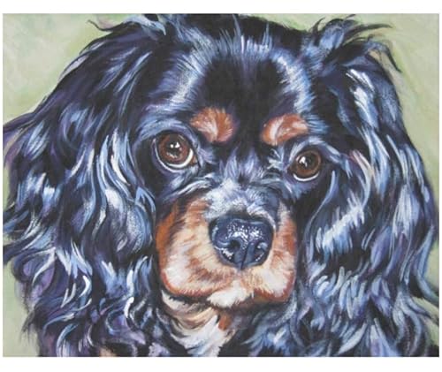 PuPLUm Malen Nach Zahlen DIY Handgemalt Ölgemälde Kits Geschenk Für Erwachsene Cavalier King Charles Spaniel Hund Paint By Numbers Geburtstag Home Haus Deko,40x50cm von PuPLUm