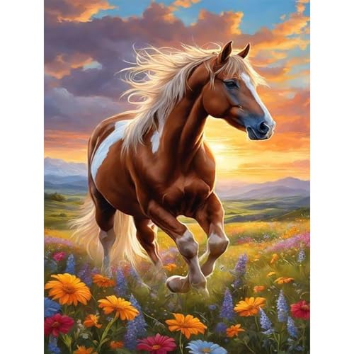 Diamond Painting Set für Erwachsene-Pferd Diamond Painting Kits,5D Tiere Diamant Malerei Set,Pferde DIY Diamantmalerei Basteln Bilder Arts als Geschenk für Home Wand Décor 30x40cm von Pujeknm