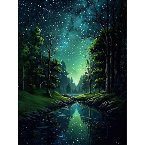 Pujeknm Malen Nach Zahlen Erwachsene Wald-DIY Aurora Handgemalt Ölgemälde Kit für Anfänger,Mit 3-Pinseln und Acrylfarbe Handgemalt öLgemäLde Kit Als Geschenk 30x40cm(Rahmenlos) von Pujeknm