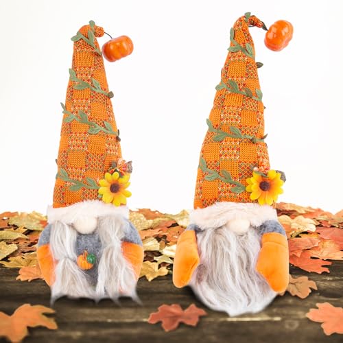 2 Stück Herbst Wichtel, Erntedankfest Plüsch Ornament, Handgefertigte Gefüllte Gesichtslose Puppe Zwerg Dekorationen,Herbstdeko Zwerge für Thanksgiving Erntedankfest Tisch Tablett Party-Dekorationen von Pynvxo