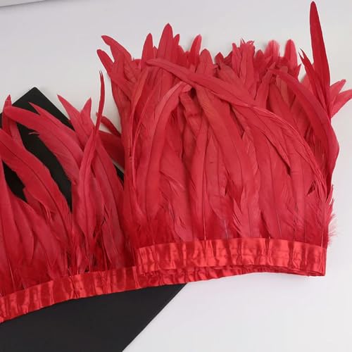 Federn Zierleisten Fransen Kleid Nähen Basteln 10 Meter Hahn Schwanz Federn Trim 25-30 cm Coque Federn Trimmen for Handarbeit Handwerk Karneval Kleid Rock Kostüme Plumes(Red) von QCKNKMGG